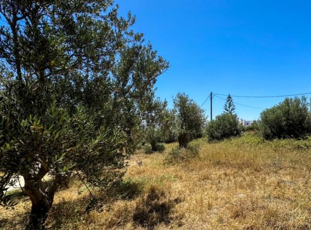 (Verkauf) Nutzbares Land Grundstück || Rethymno/Arkadi - 1.800 m², 150.000€ 