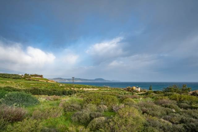 (Verkauf) Nutzbares Land Ackerland  || Rethymno/Lappa - 4.000 m², 325.000€ 
