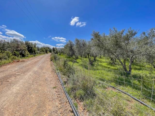 (Verkauf) Nutzbares Land Ackerland  || Rethymno/Arkadi - 63.209 m², 500.000€ 