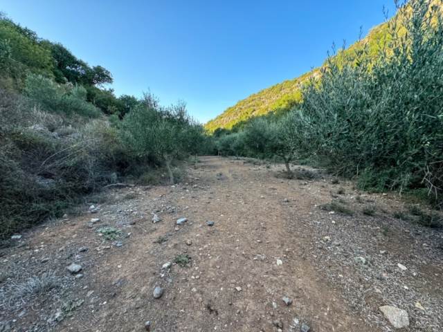 (Προς Πώληση) Αξιοποιήσιμη Γη Οικόπεδο || Ν. Ρεθύμνου/Νικηφόρος Φωκάς - 1.322 τ.μ, 50.000€ 