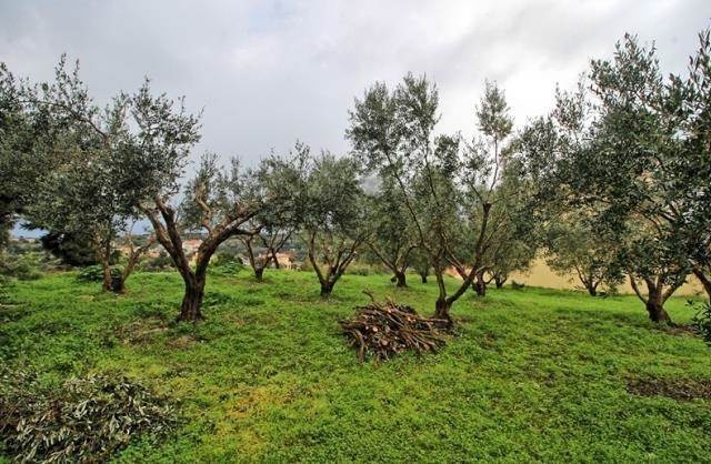 (Προς Πώληση) Αξιοποιήσιμη Γη Οικόπεδο || Ν. Ρεθύμνου/Ρέθυμνο - 353 τ.μ, 40.000€ 