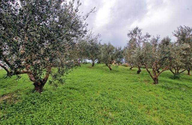 (Verkauf) Nutzbares Land Grundstück || Rethymno/Rethymno - 182 m², 20.000€ 