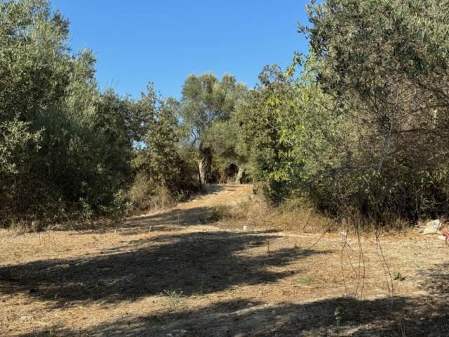 (Verkauf) Nutzbares Land Grundstück || Rethymno/Nikiforos Fokas  - 1.645 m², 90.000€ 