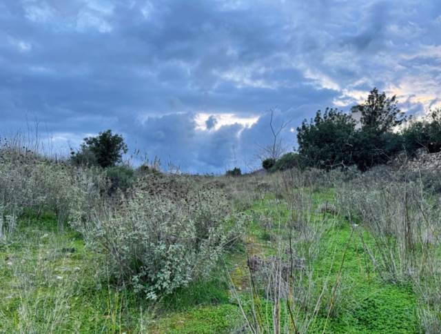 (For Sale) Land Plot || Rethymno/Rethymno - 500 Sq.m, 35.000€ 