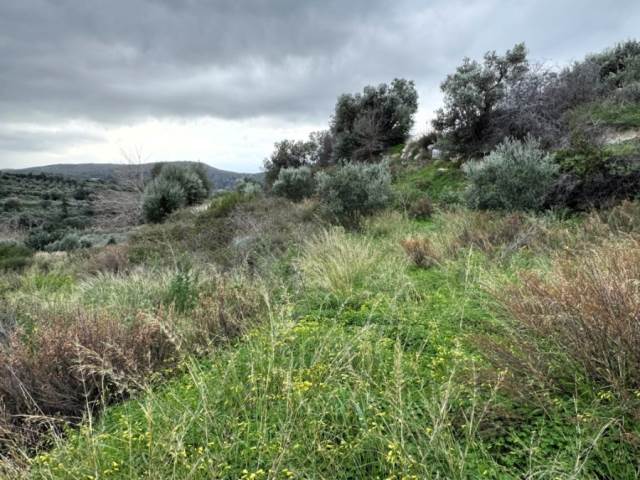 (For Sale) Land Agricultural Land  || Rethymno/Arkadi - 5.414 Sq.m, 125.000€ 